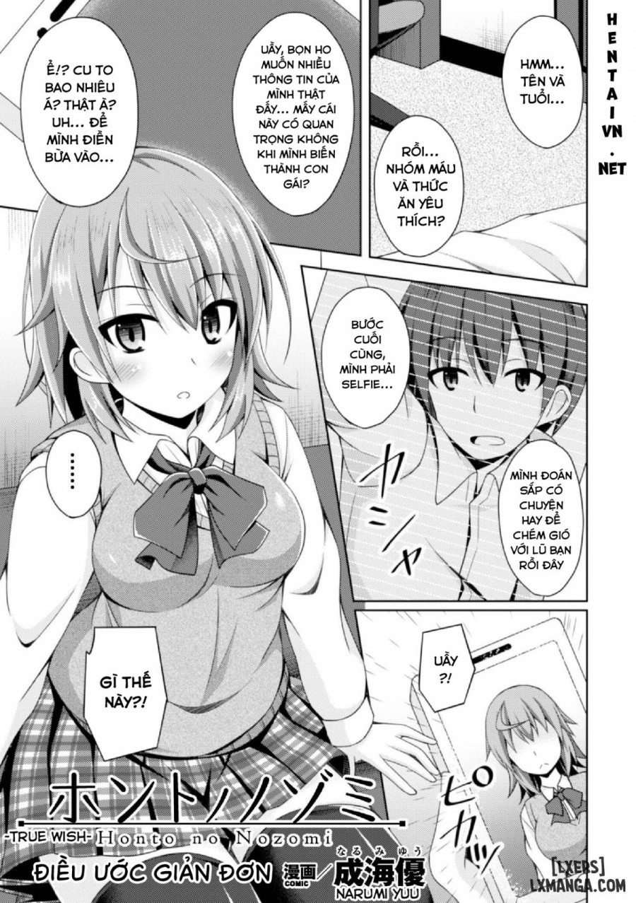 True Wish 