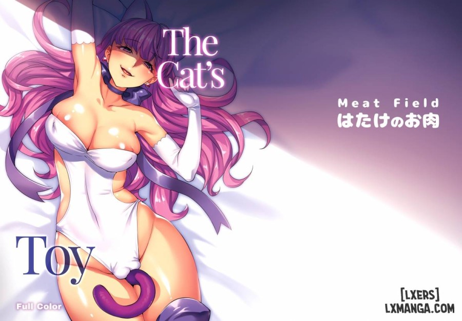 The Cat's Toy 