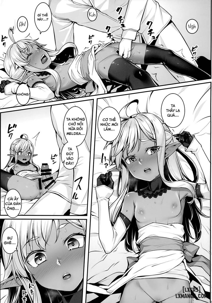 The Dark Elves Princess 