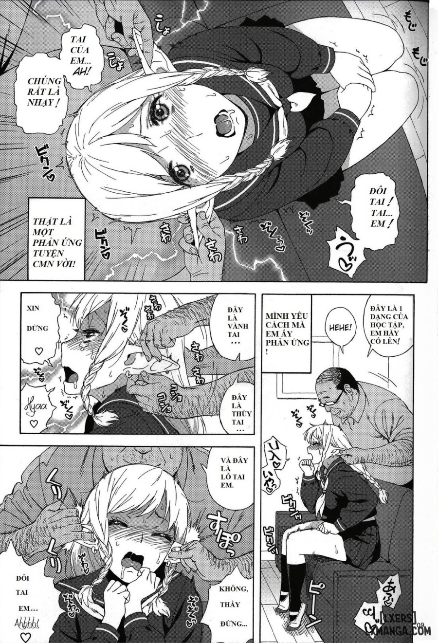 Tenkousei JK Elf 