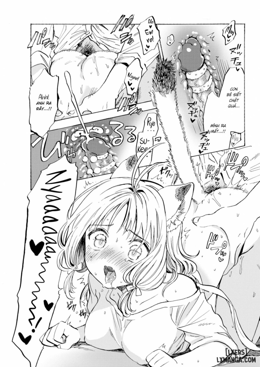 The Proper Way to Treat Your Pet 