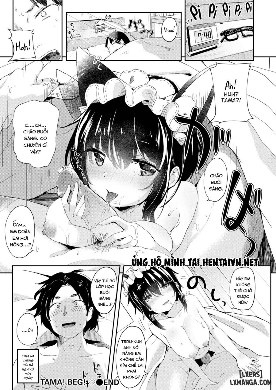 Tama! Beg! 