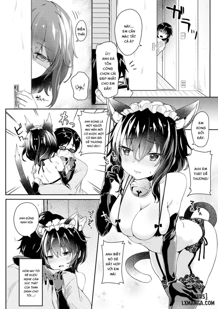 Tama! Beg! 