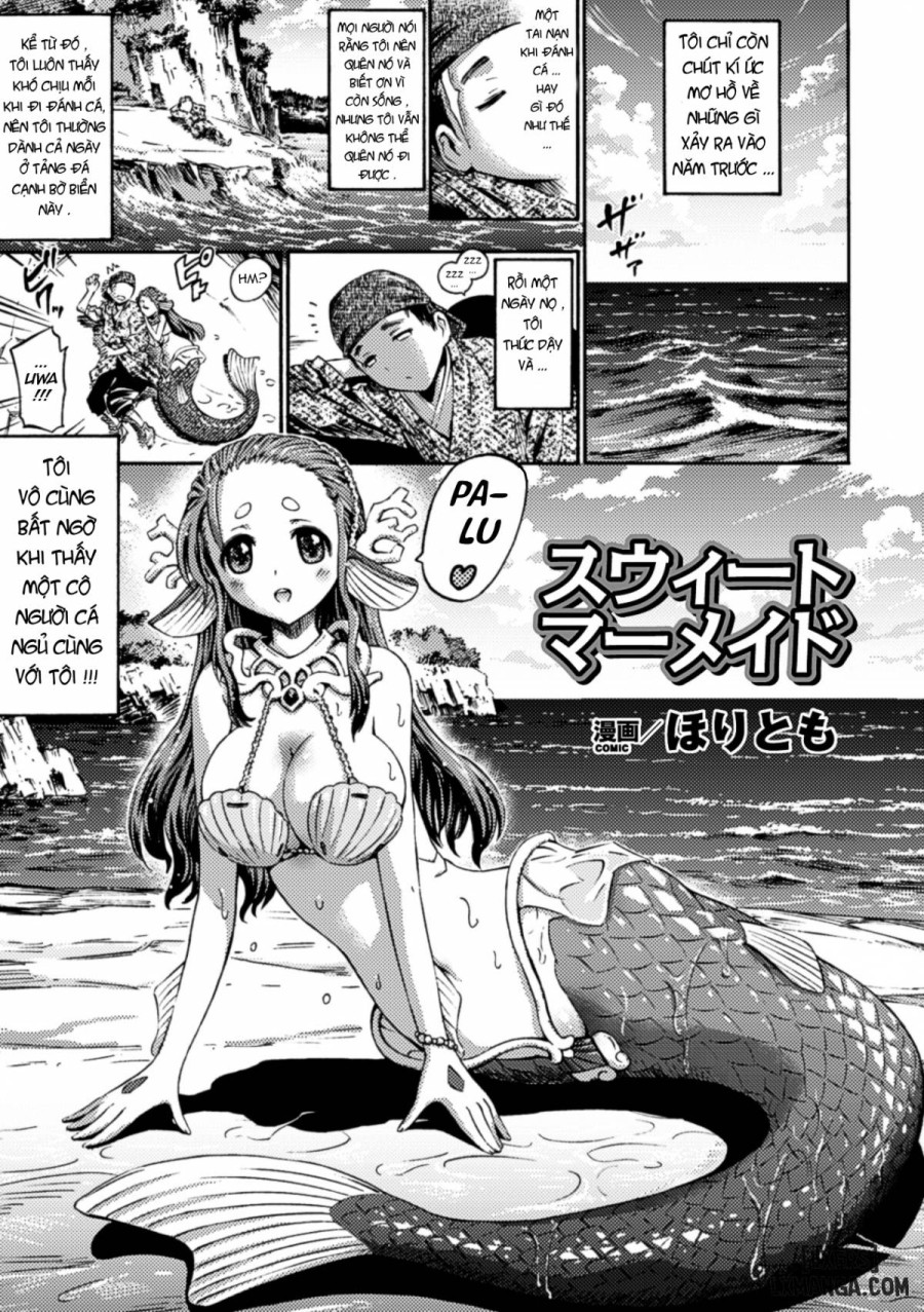 Sweet Mermaid 