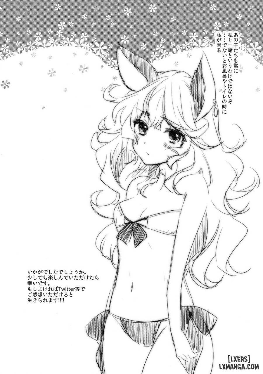 SUMMER VERSION 