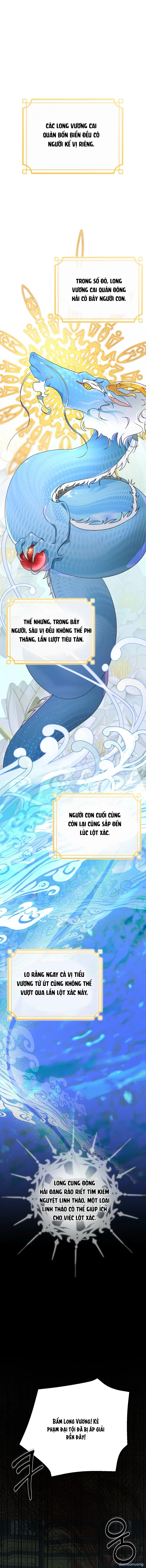 Ngọc Thỏ Rơi Xuống Long Cung 