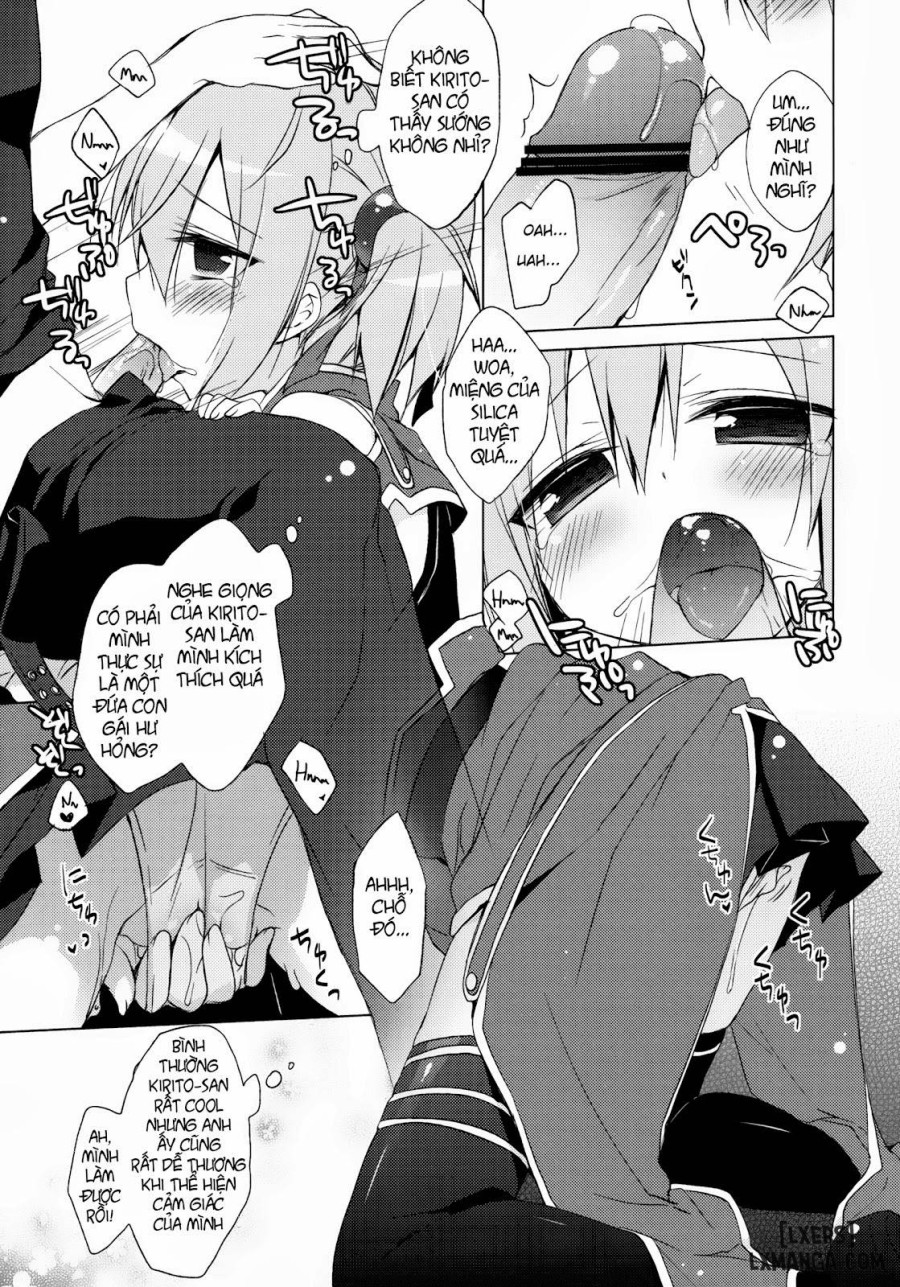 Sword Art Offline -Silica Route 