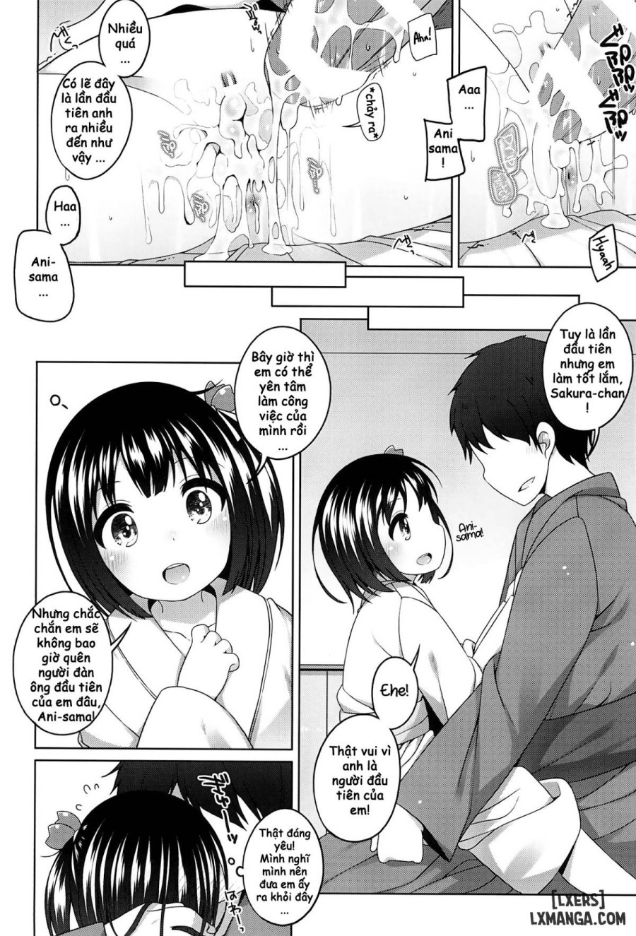 Shokaya no Doujotachi - Sakura Hen 