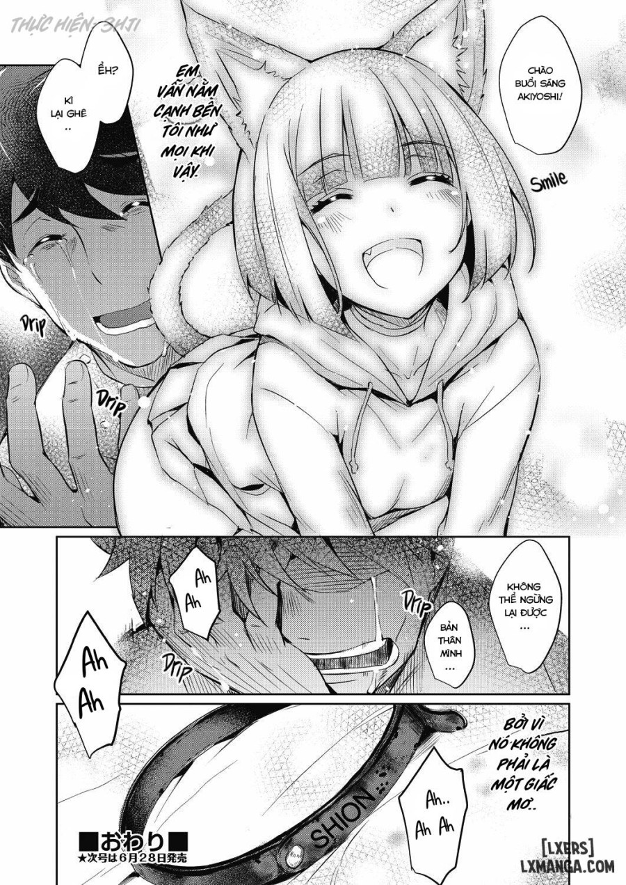 Shion no Hana 
