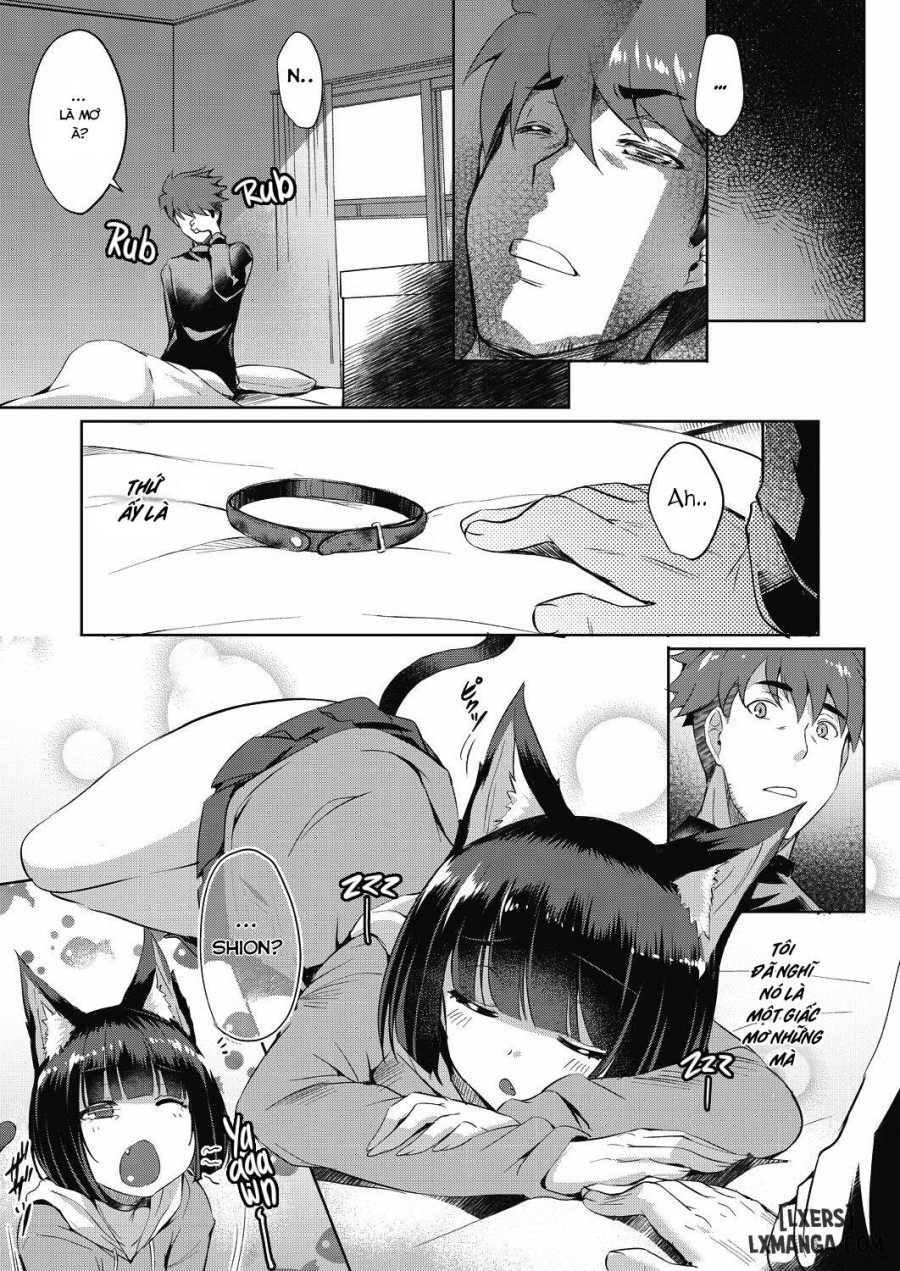 Shion no Hana 