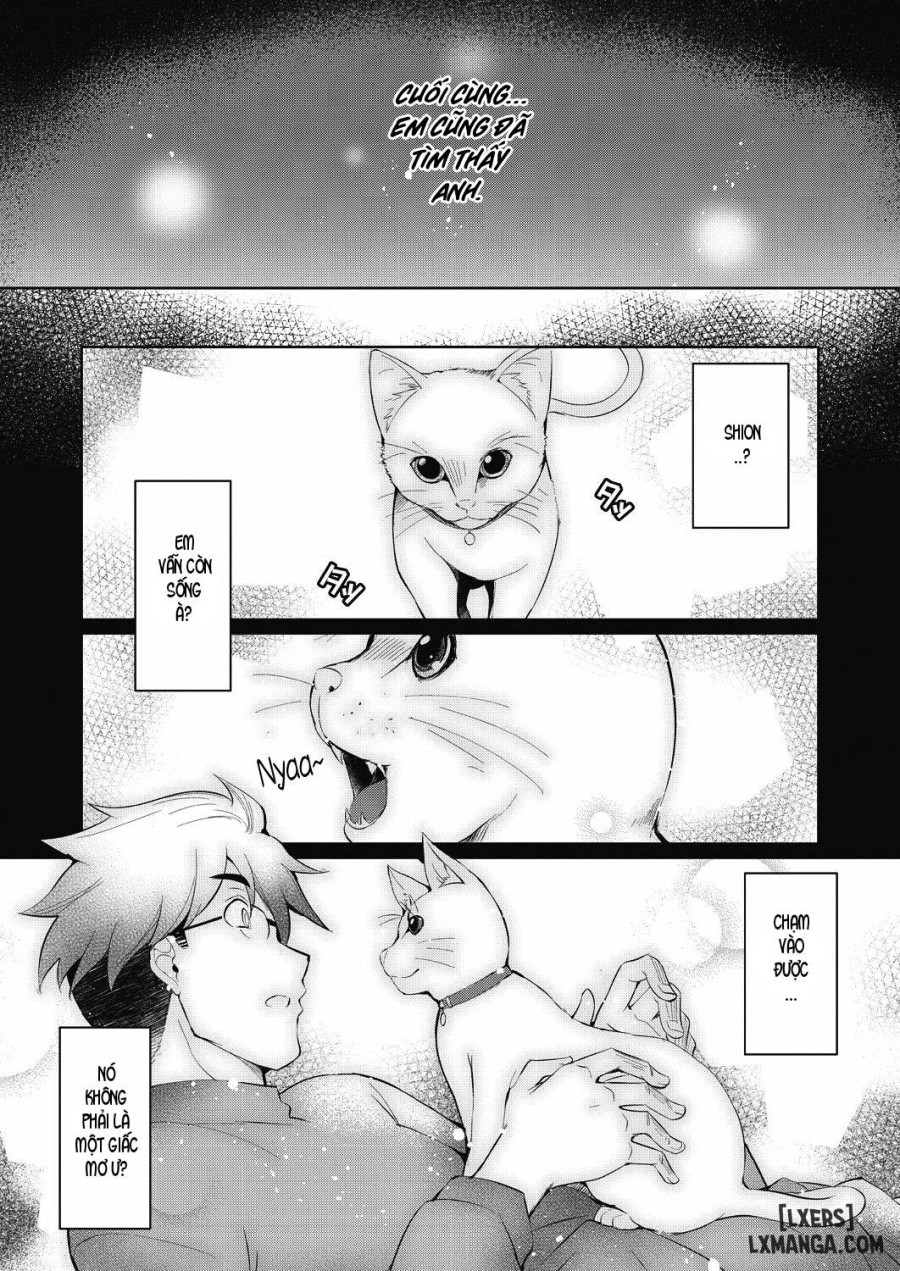Shion no Hana 
