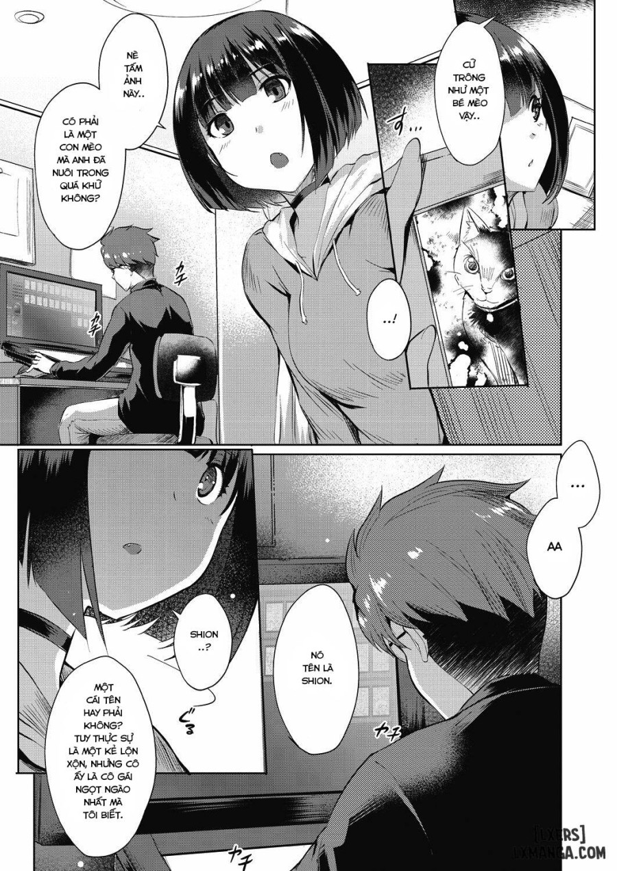 Shion no Hana 