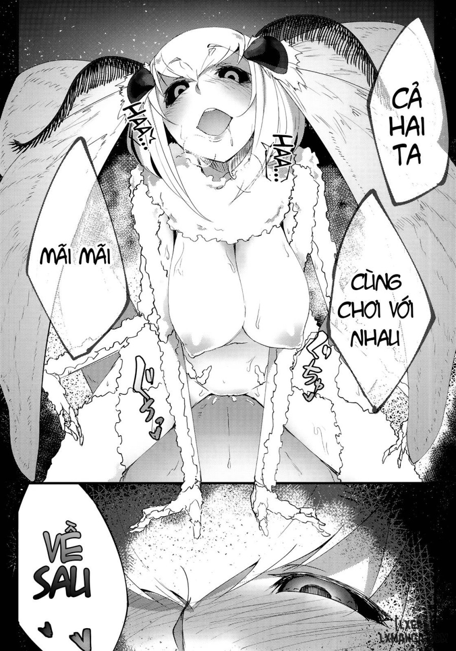 Shiragasane 