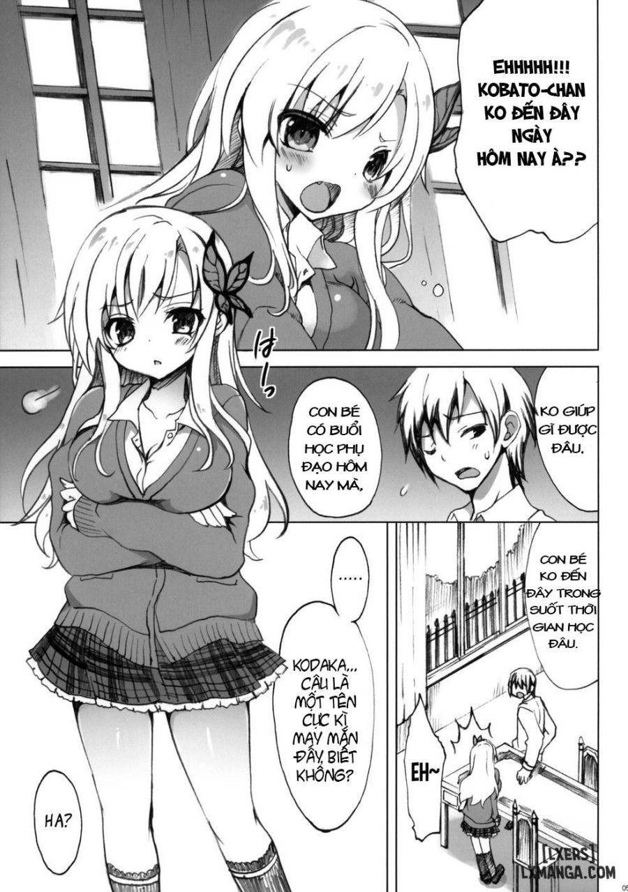 Route Sena 