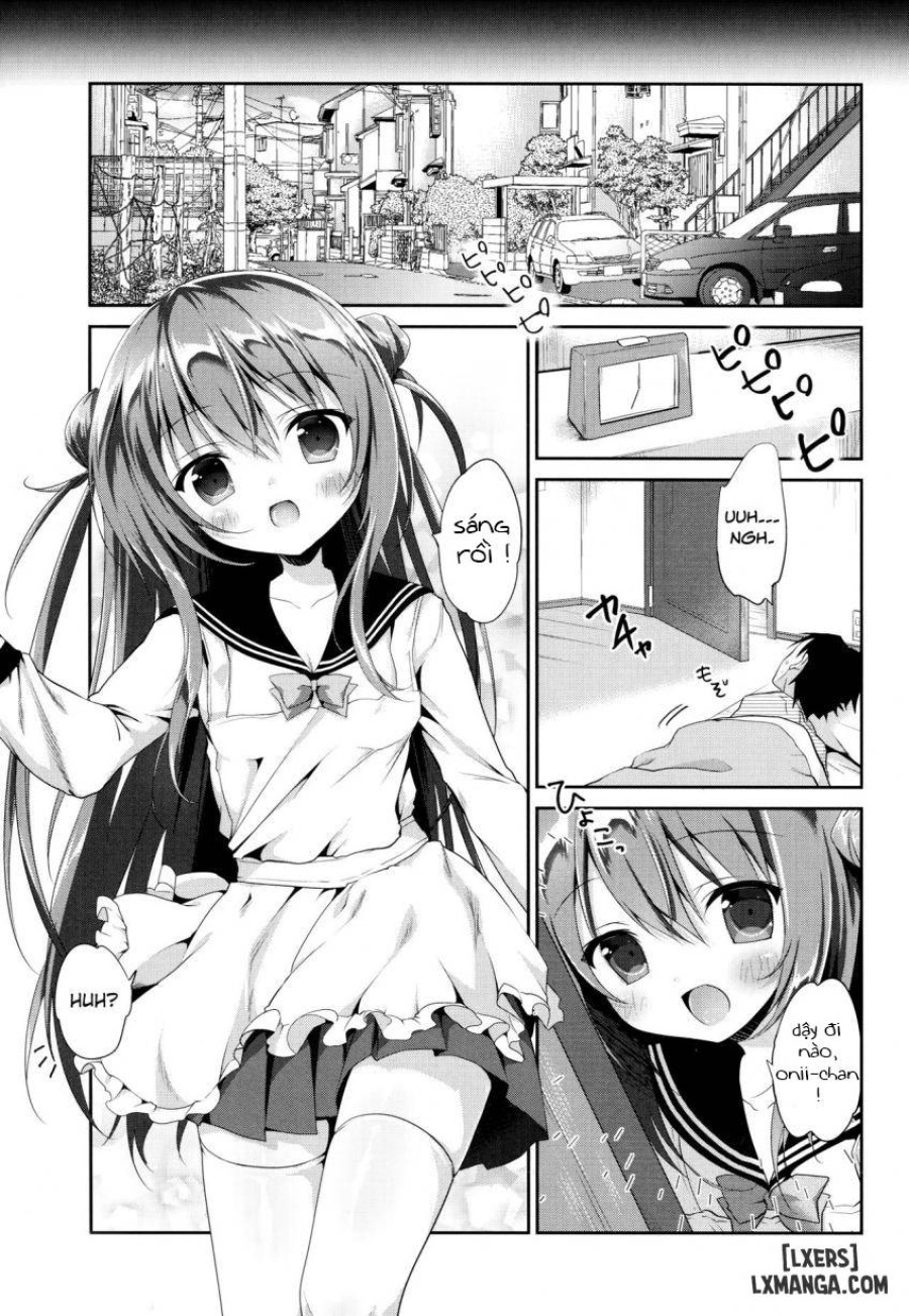 Risou No Imouto 