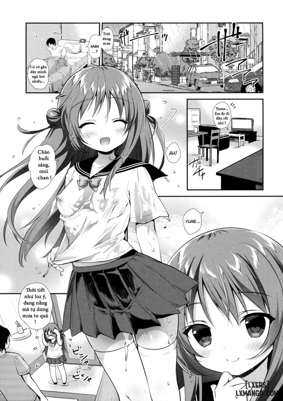 Risou No Imouto 