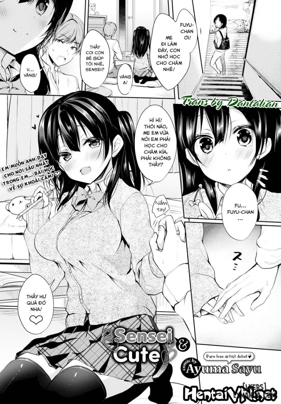 Sensei & Cute 