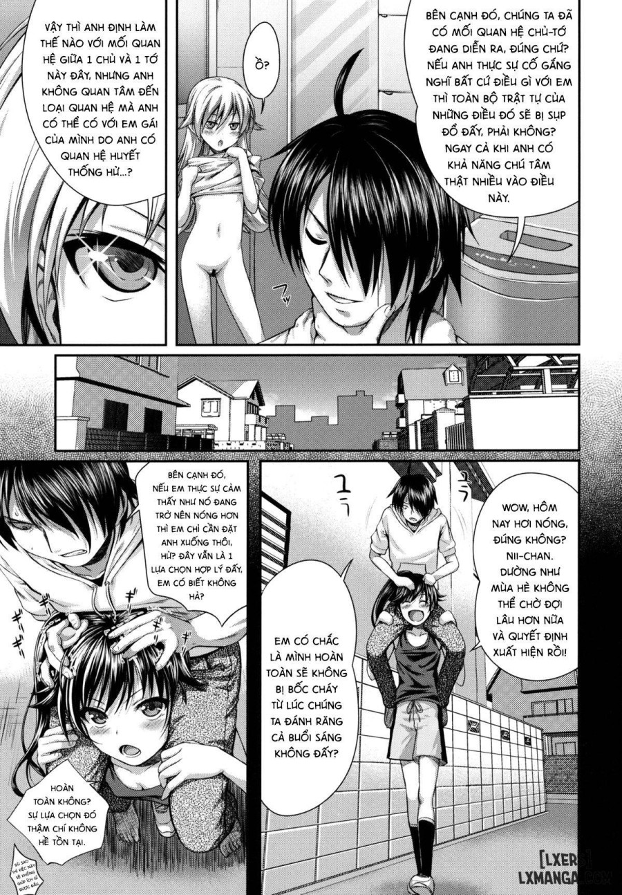 Shinobu no Araragi Koyomi Kansatsu Nikki 