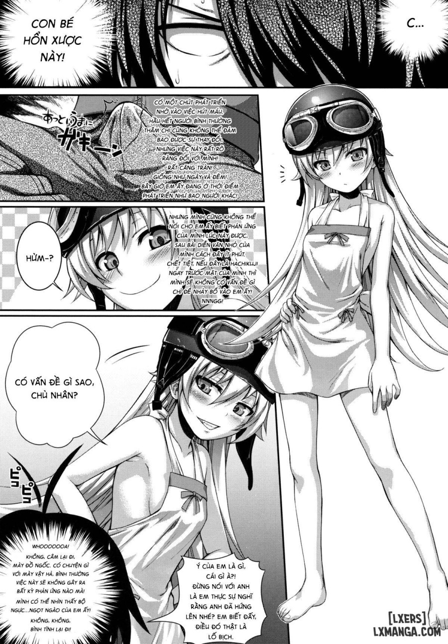 Shinobu no Araragi Koyomi Kansatsu Nikki 