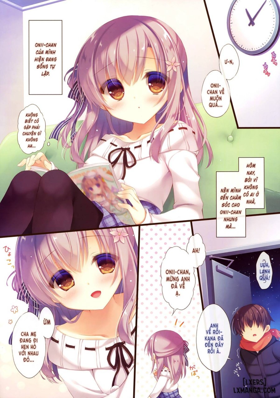 Onii-chan Osewa wa Watashi ni Makasete ne 