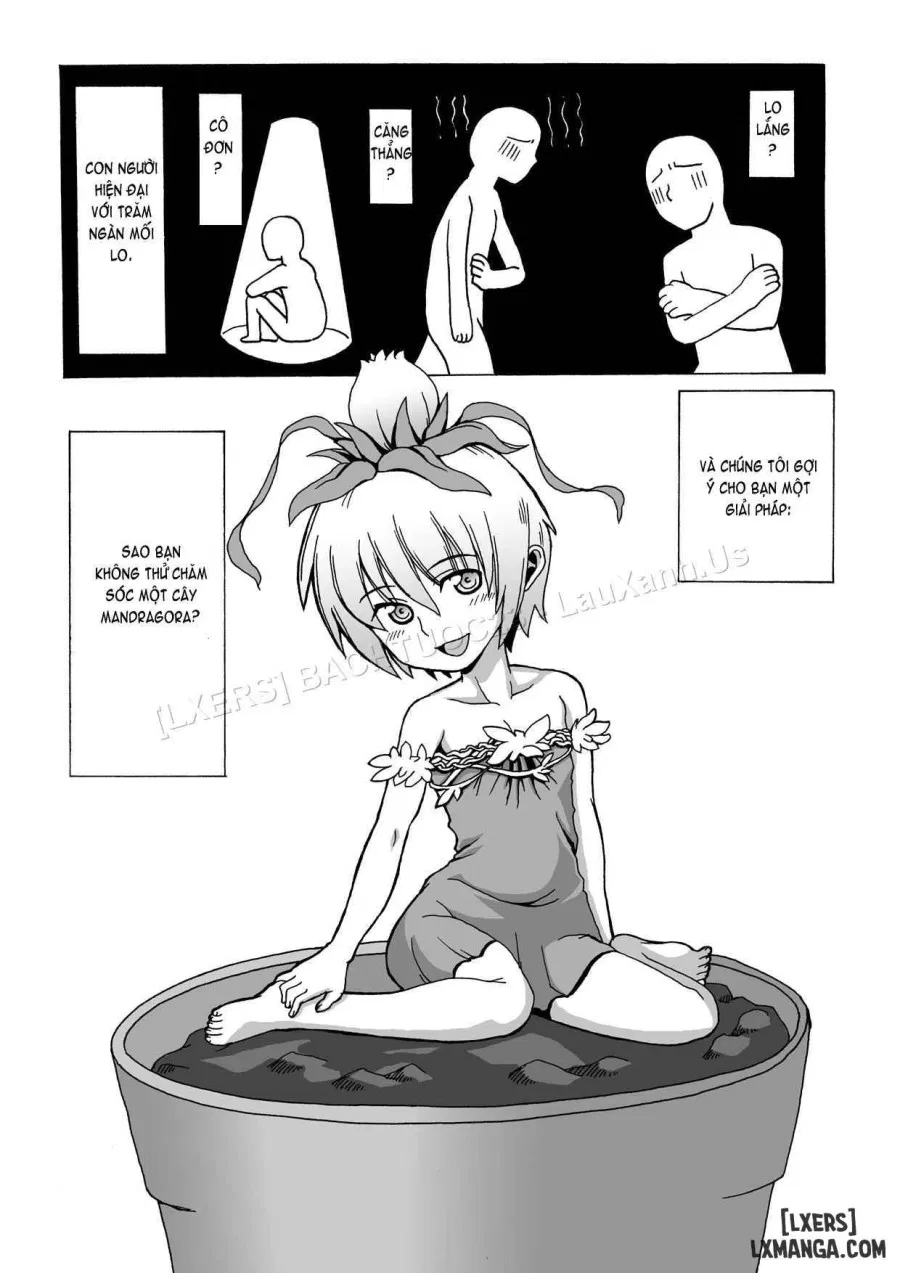 Okudake Mandragora 