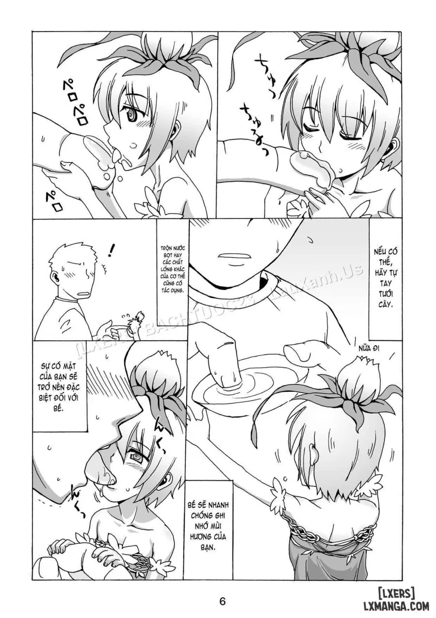 Okudake Mandragora 