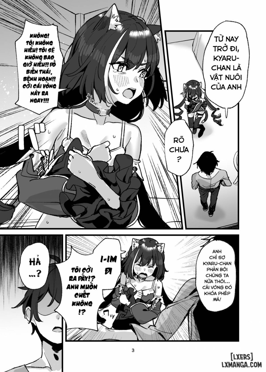 Ohayou, Kyaru-chan 