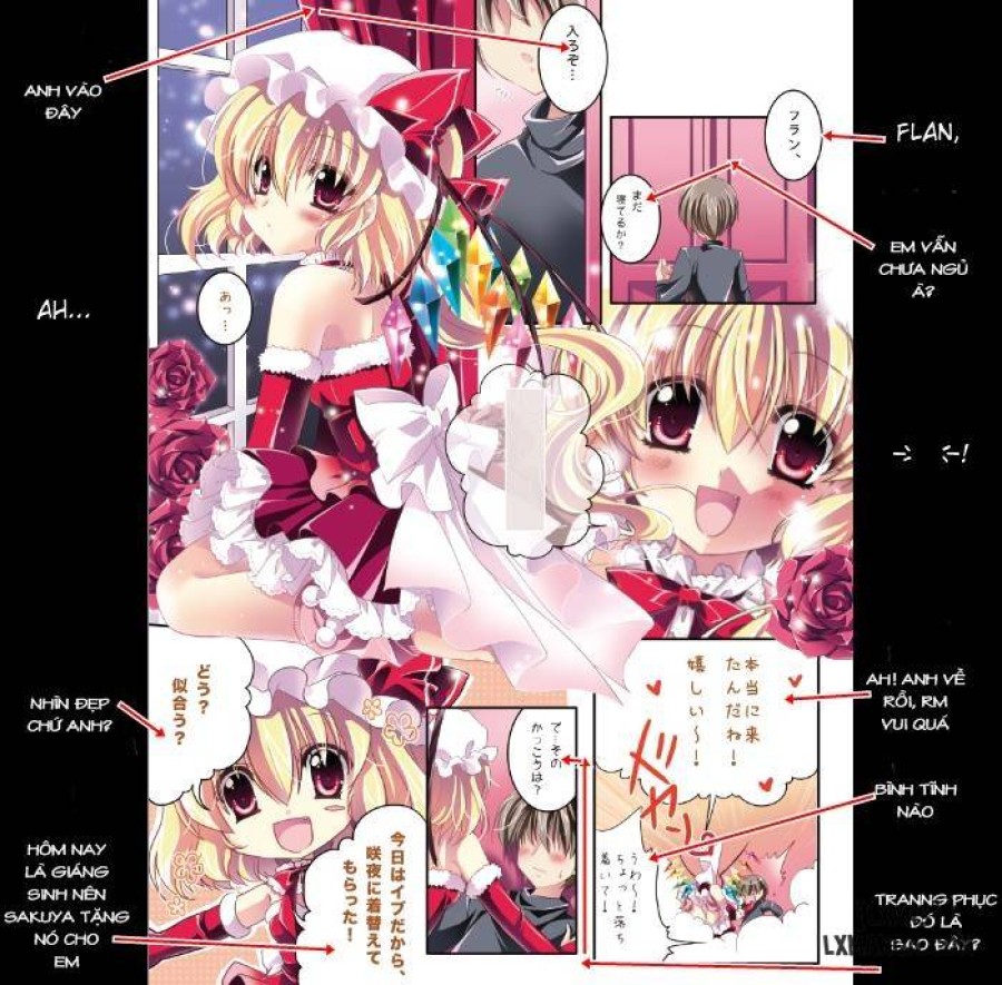 Only for You - Flandre 