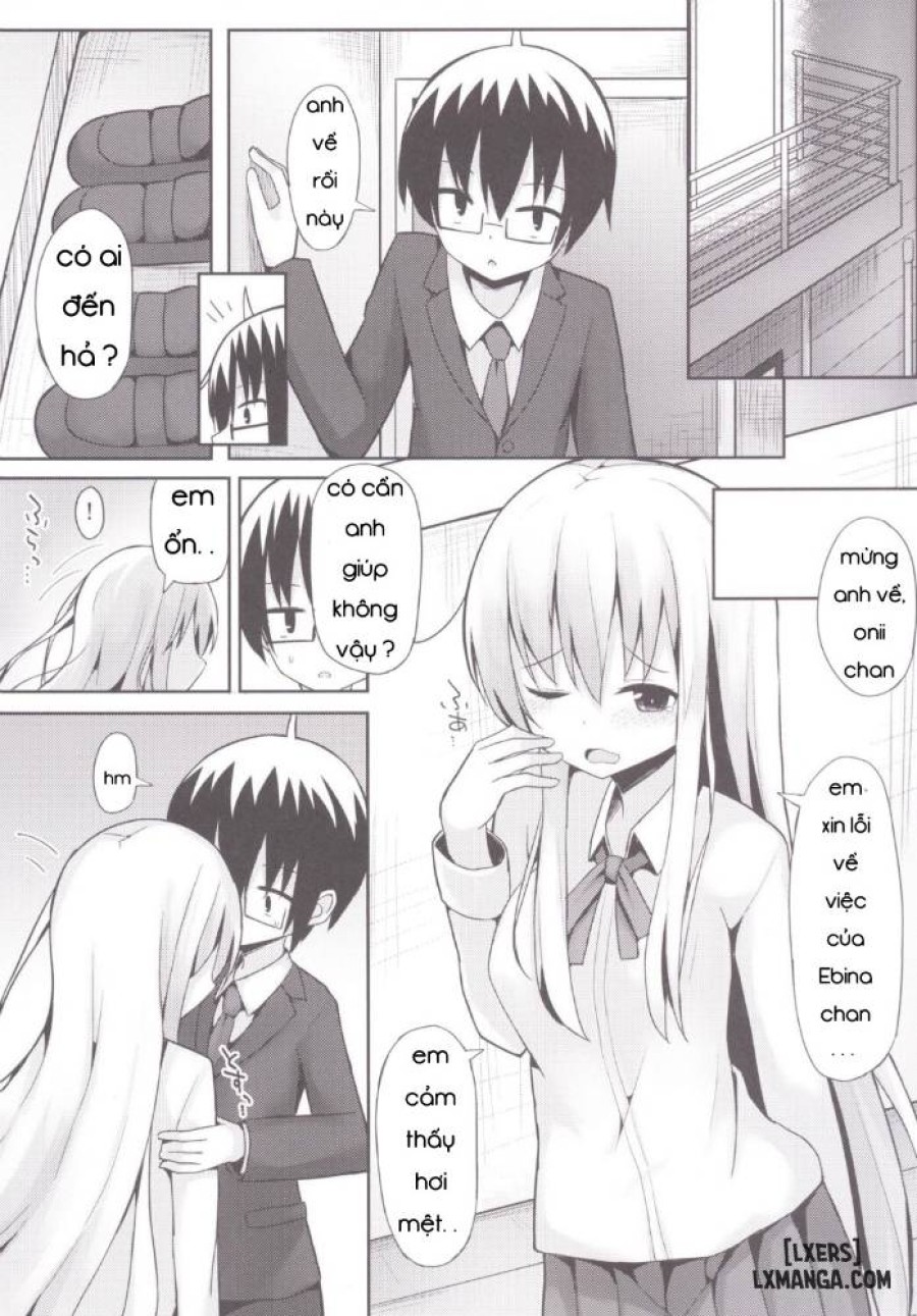 Nana Ebina Route 