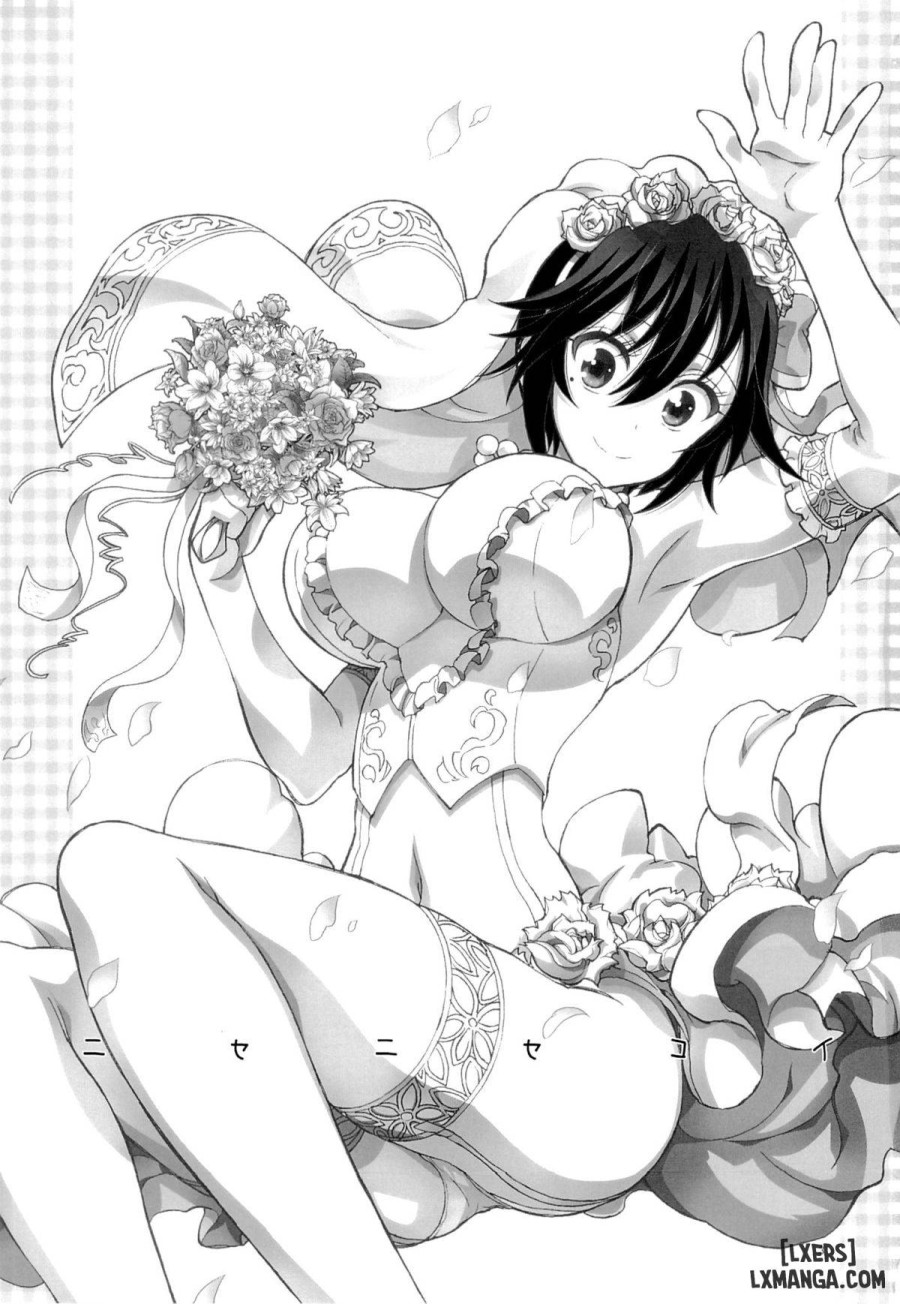 Nisenisekoi 