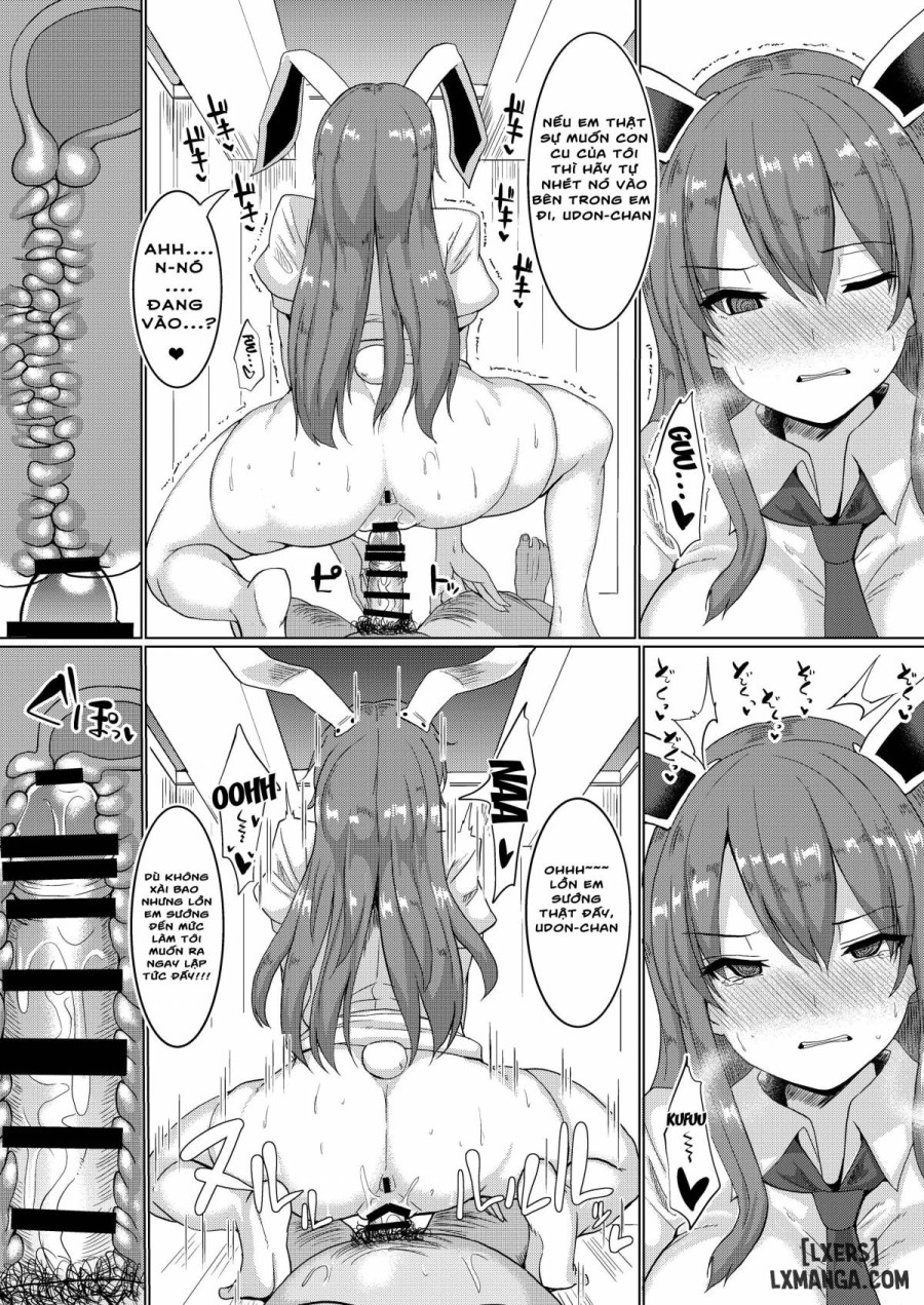 Namahame Saimin Hatsujou Usagi 