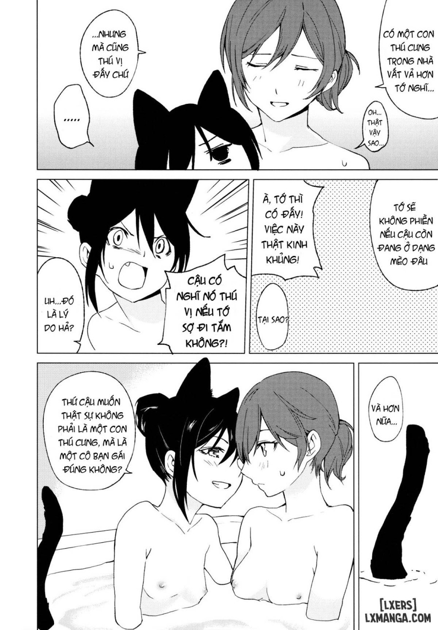 Nico Maki Nyan Nyan Hon 