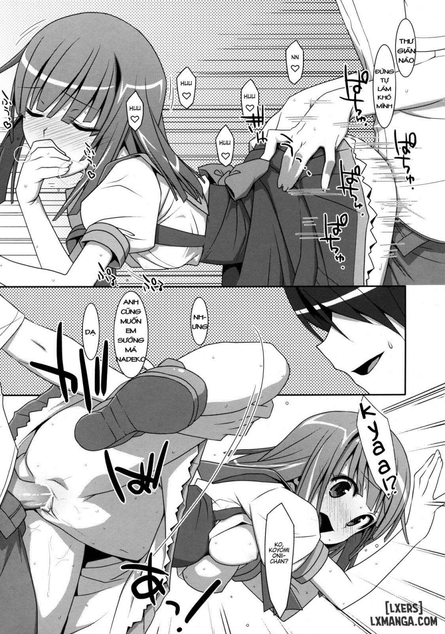 Nadeko Silent 