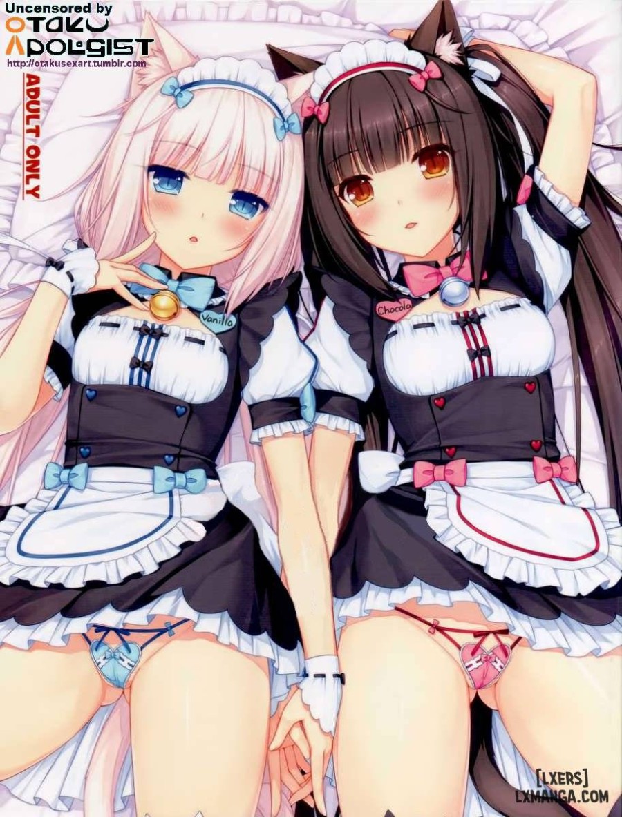 Neko Paradise 