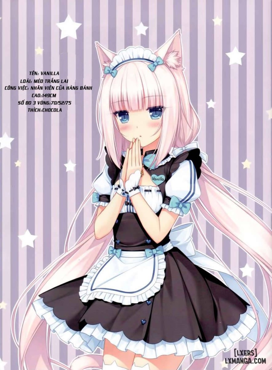 Neko Paradise 