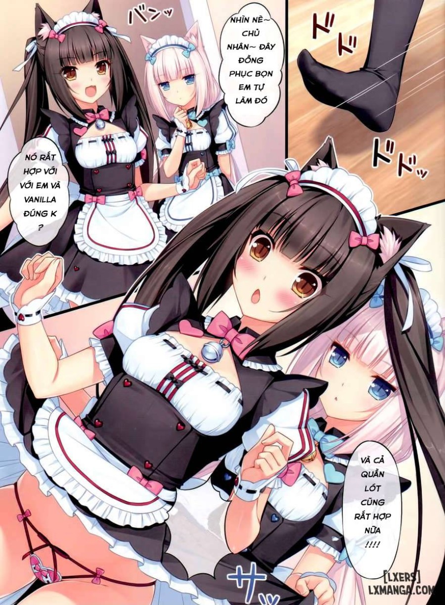 Neko Paradise 