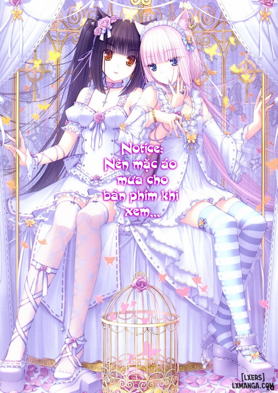 Neko Paradise 