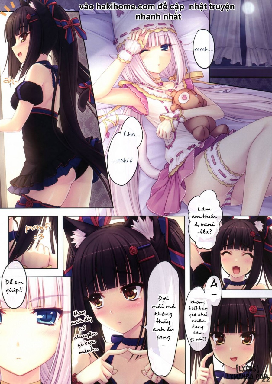 Neko Paradise 