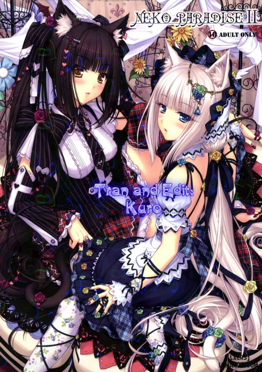 Neko Paradise 