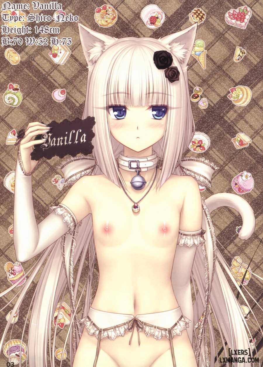 Neko Paradise 