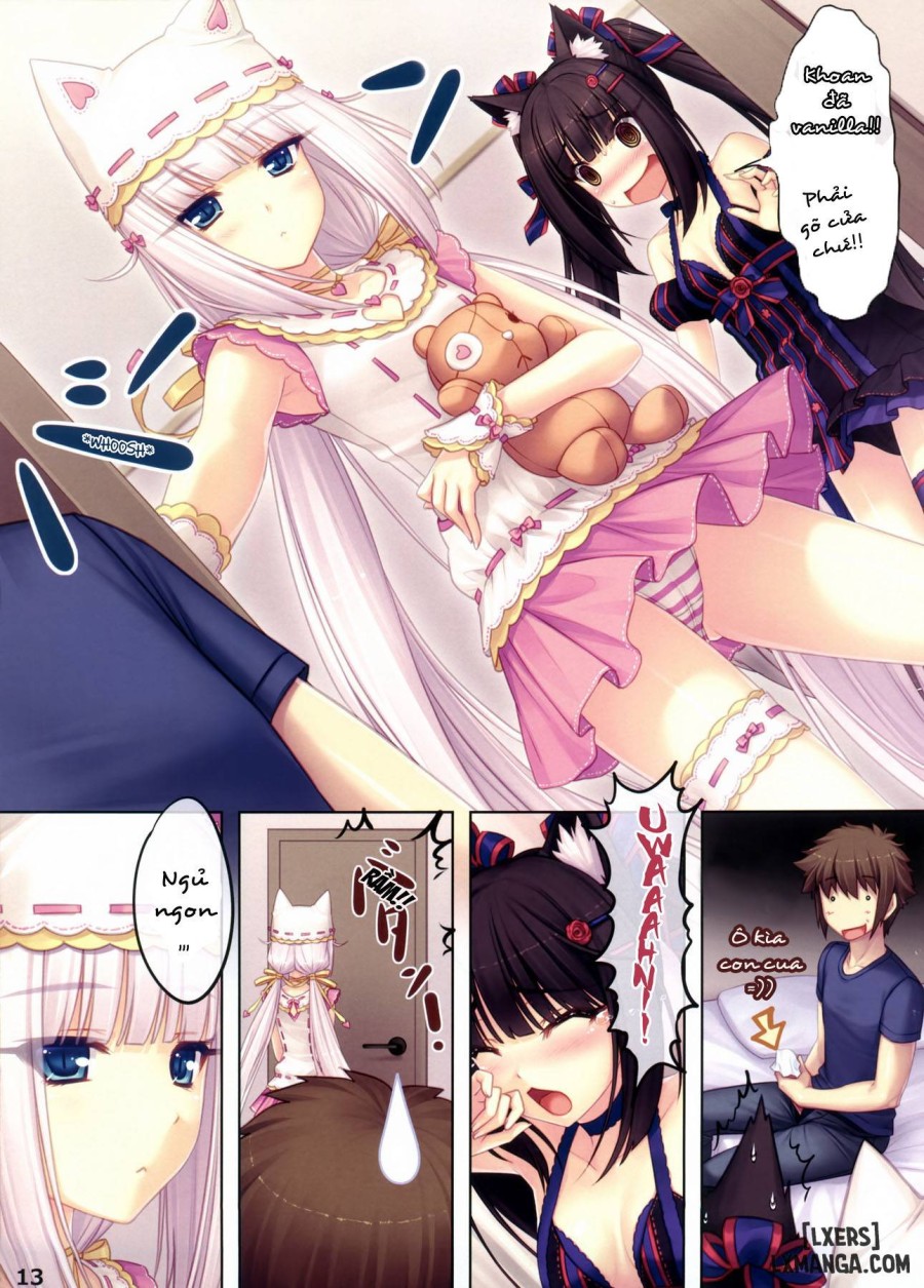 Neko Paradise 