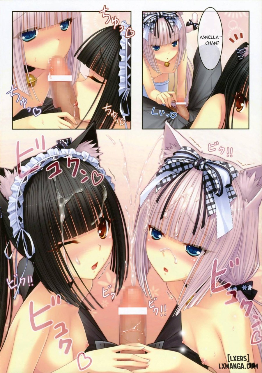 Neko Paradise 