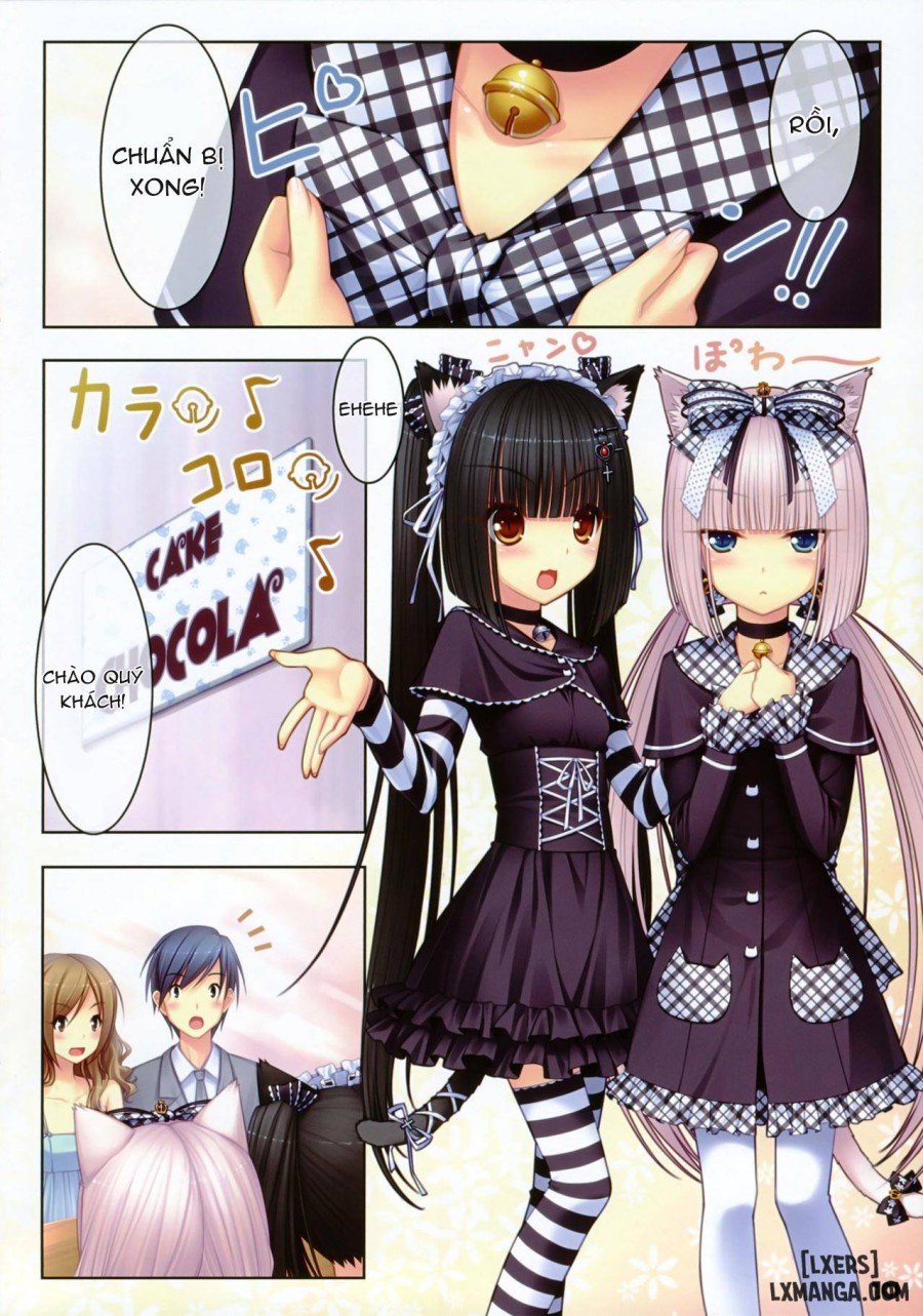 Neko Paradise 