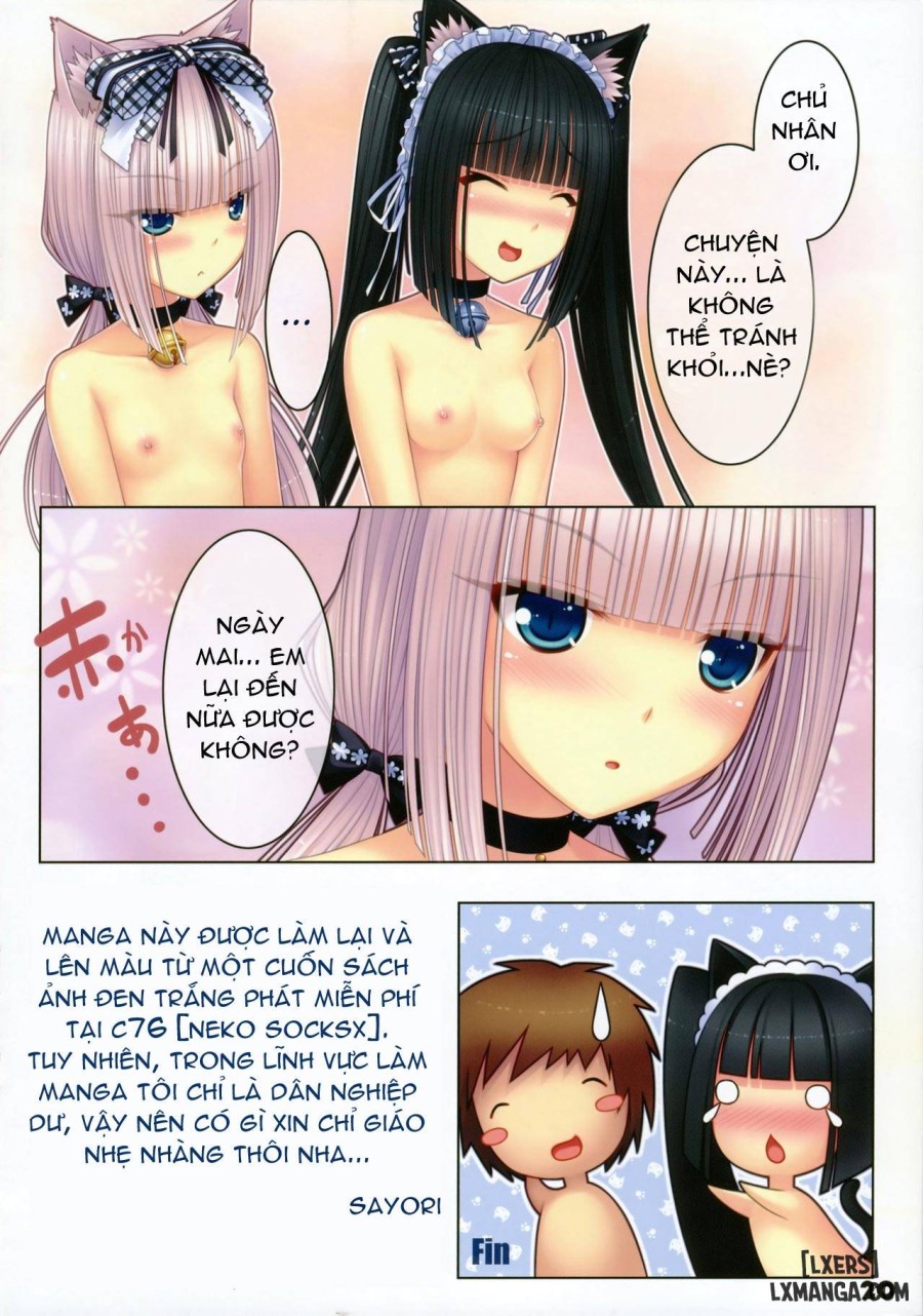 Neko Paradise 