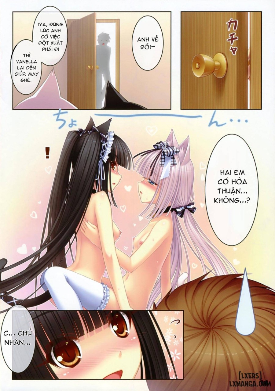 Neko Paradise 