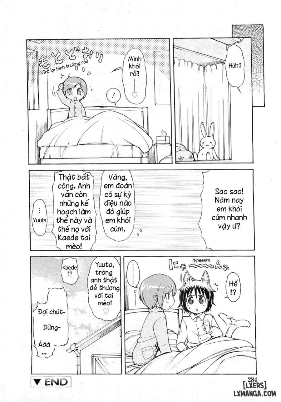 Nekomimi Pandemic 