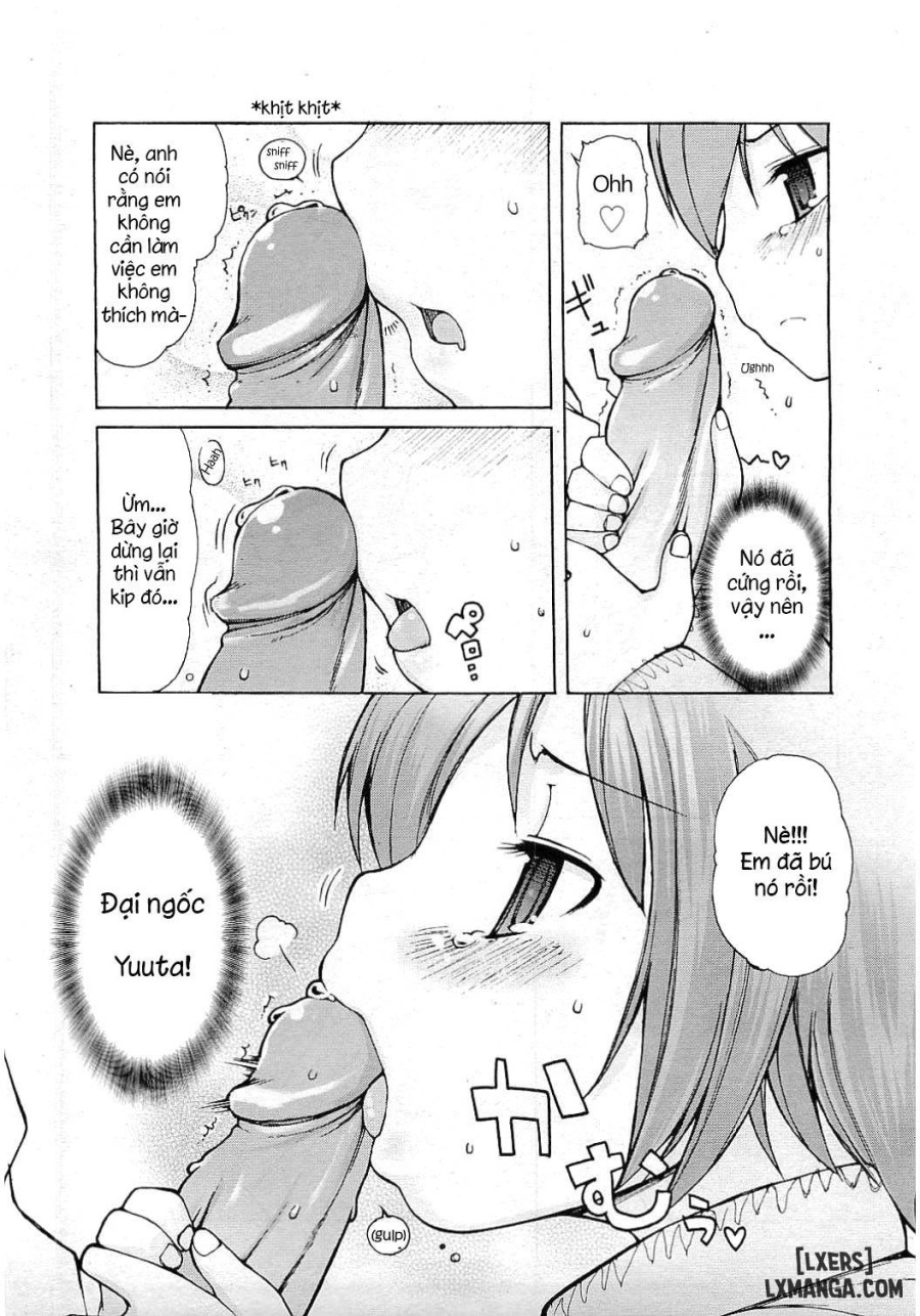 Nekomimi Pandemic 