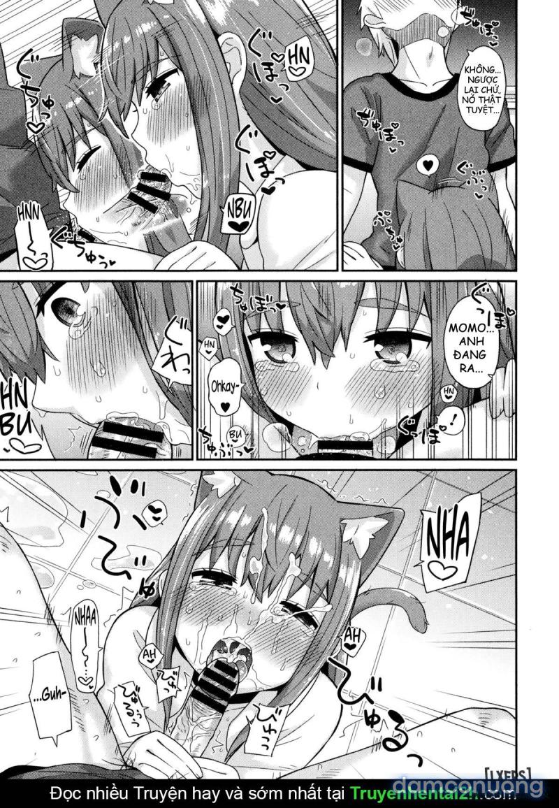 Nekomimi Planet 