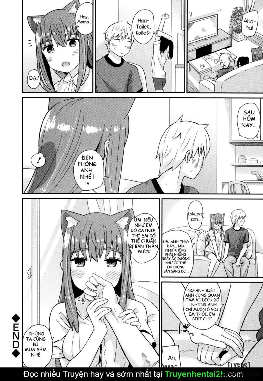 Nekomimi Planet 