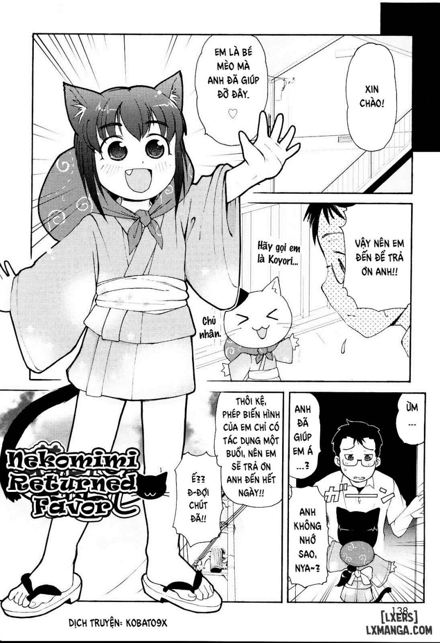 Nekomimi Returned Favor 